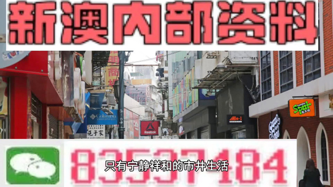新门内部资料精准大全，深度解析与探索，新门内部资料深度解析与探索秘籍大全
