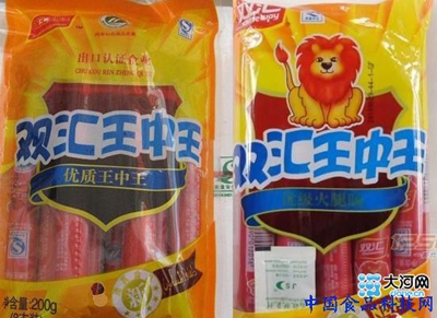 王中王资料大全与枓大全，深度解析与综述，王中王与枓大全，深度解析与综述