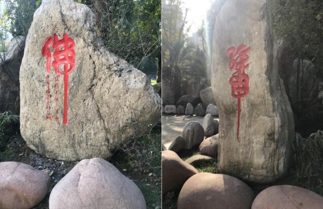 猎潜艇大队现状探究，猎潜艇大队现状深度解析