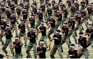 国宾护卫队义务兵服兵役时间的深度解析,国宾护卫队义务兵服兵役时间的深度探讨