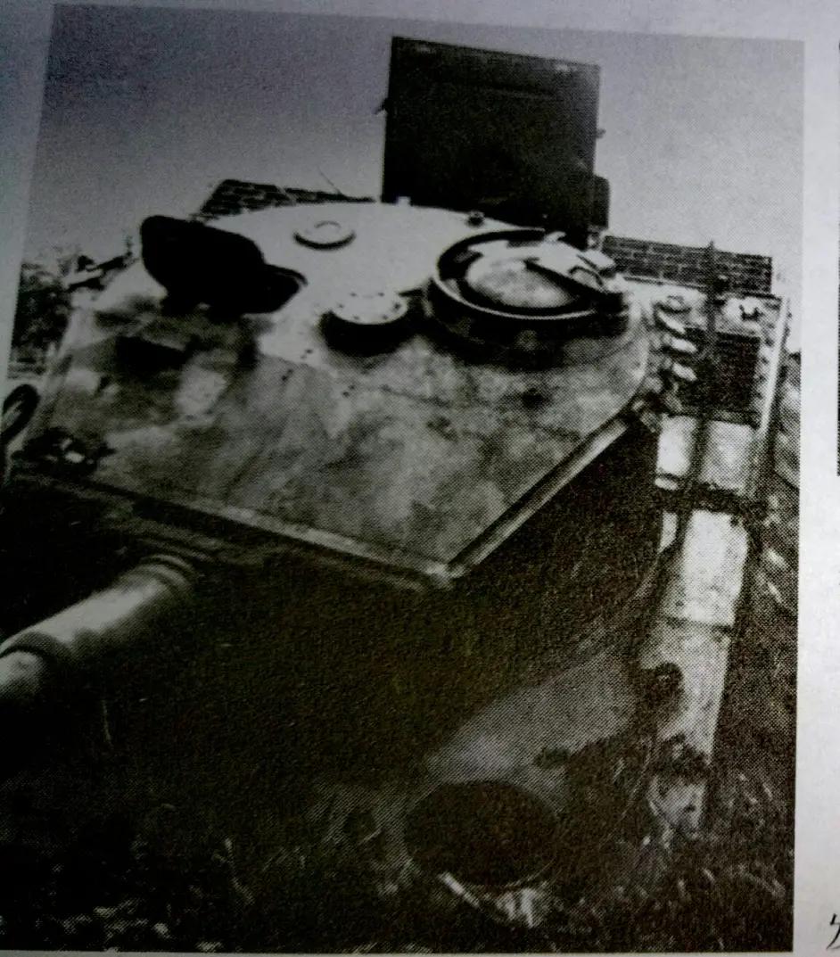 虎式重坦女生，一个值得探讨的词汇与背后的文化现象，虎式重坦女生背后的文化现象与探讨