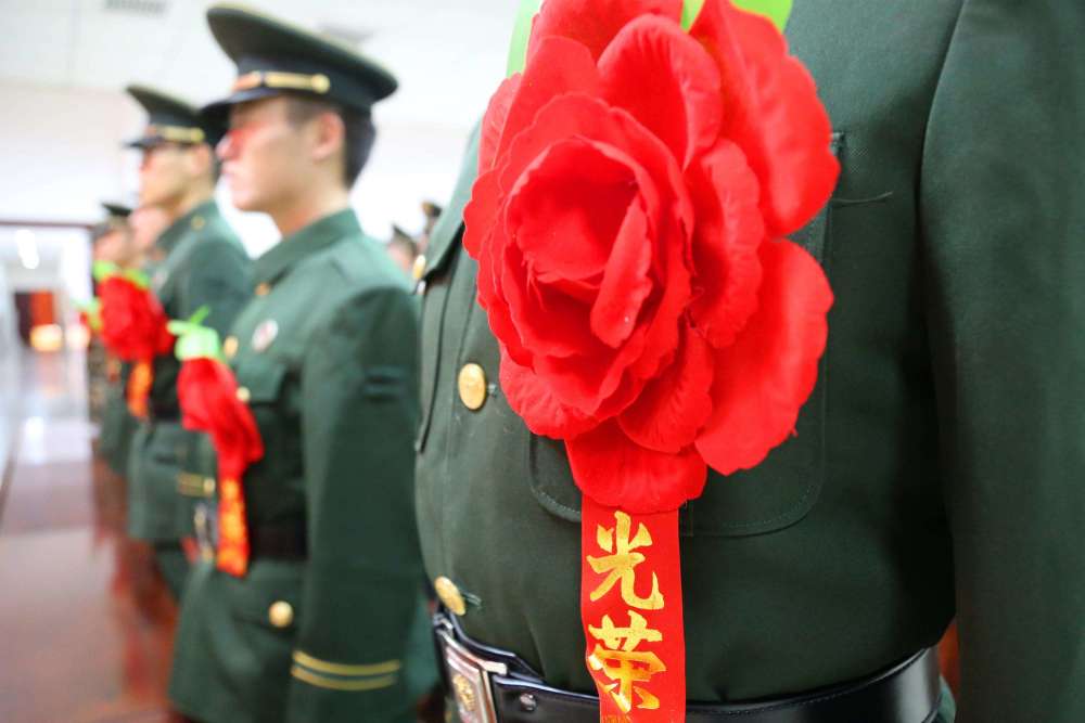 士官体制，军队现代化的重要支撑，士官体制，军队现代化的坚实支柱