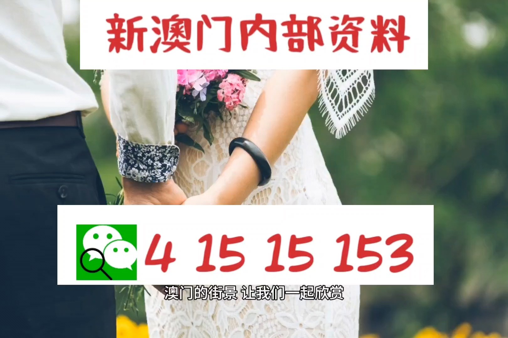 澳i门精准免费资料