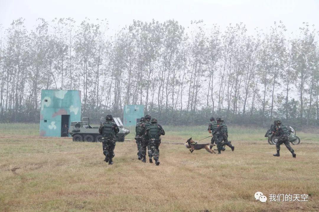 刘金沂的军衔与荣耀之路,刘金沂的军衔与荣耀之路,一位战士的辉煌历程