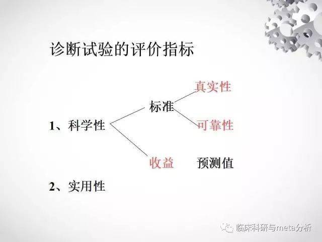 王中王平特一肖的独特魅力