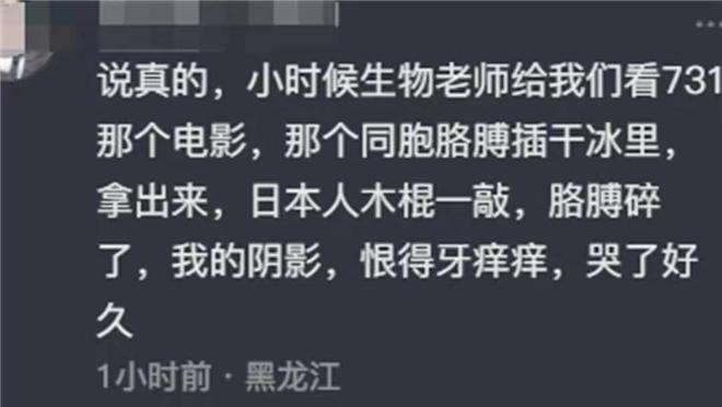 中日关系的新视角，和平与合作是未来的方向——日本网友视角下的中日战争无胜算观念，中日关系的新视角，和平与合作是未来的方向 —— 日本网友谈中日战争无胜算观念