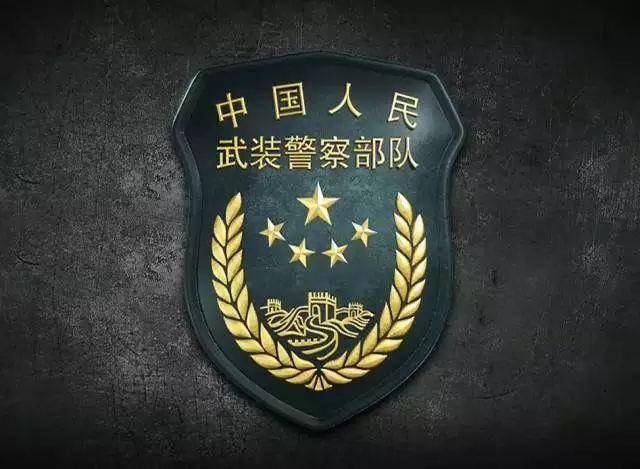 武装警察部队的职能任务,武装警察部队的职能任务概述