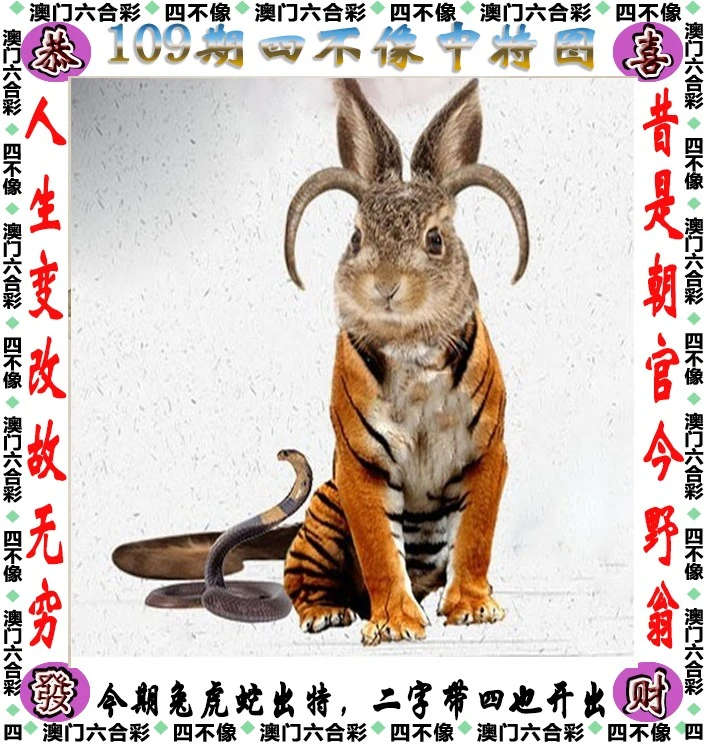 深层含义探索
