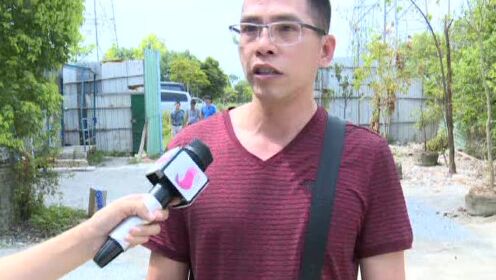 石碣新闻头条，聚焦石碣镇的新发展、新动态，石碣镇新发展动态新闻头条聚焦报道