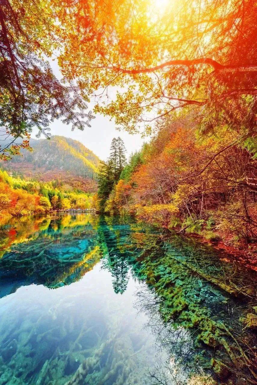 美不胜收——探索无尽的美,探索无尽的美,壮丽景观大赏