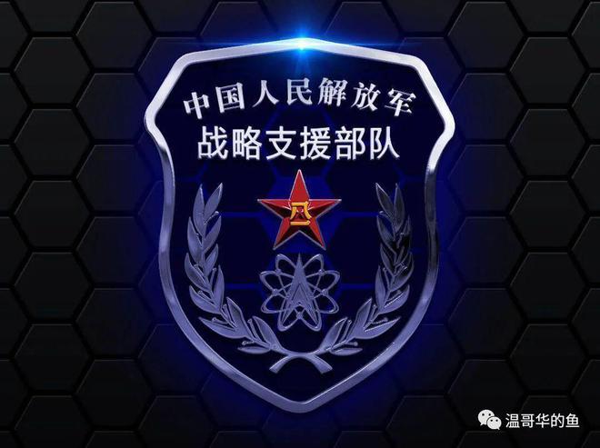 战略支援是否属于陆军范畴的探讨,战略支援是否属于陆军范畴的探讨与解析