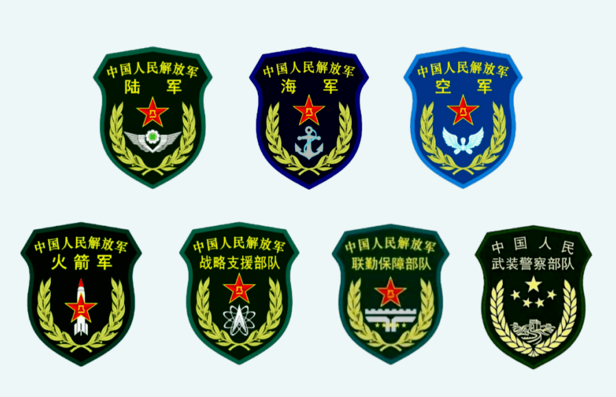 战略支援是否属于陆军范畴的探讨,战略支援是否属于陆军范畴的探讨与解析