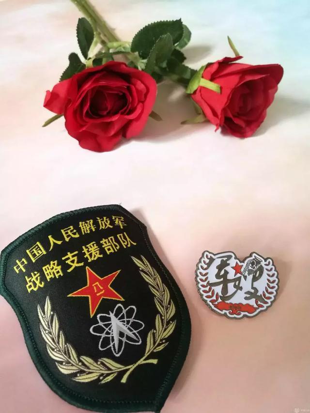 战略支援是否属于陆军范畴的探讨,战略支援是否属于陆军范畴的探讨与解析