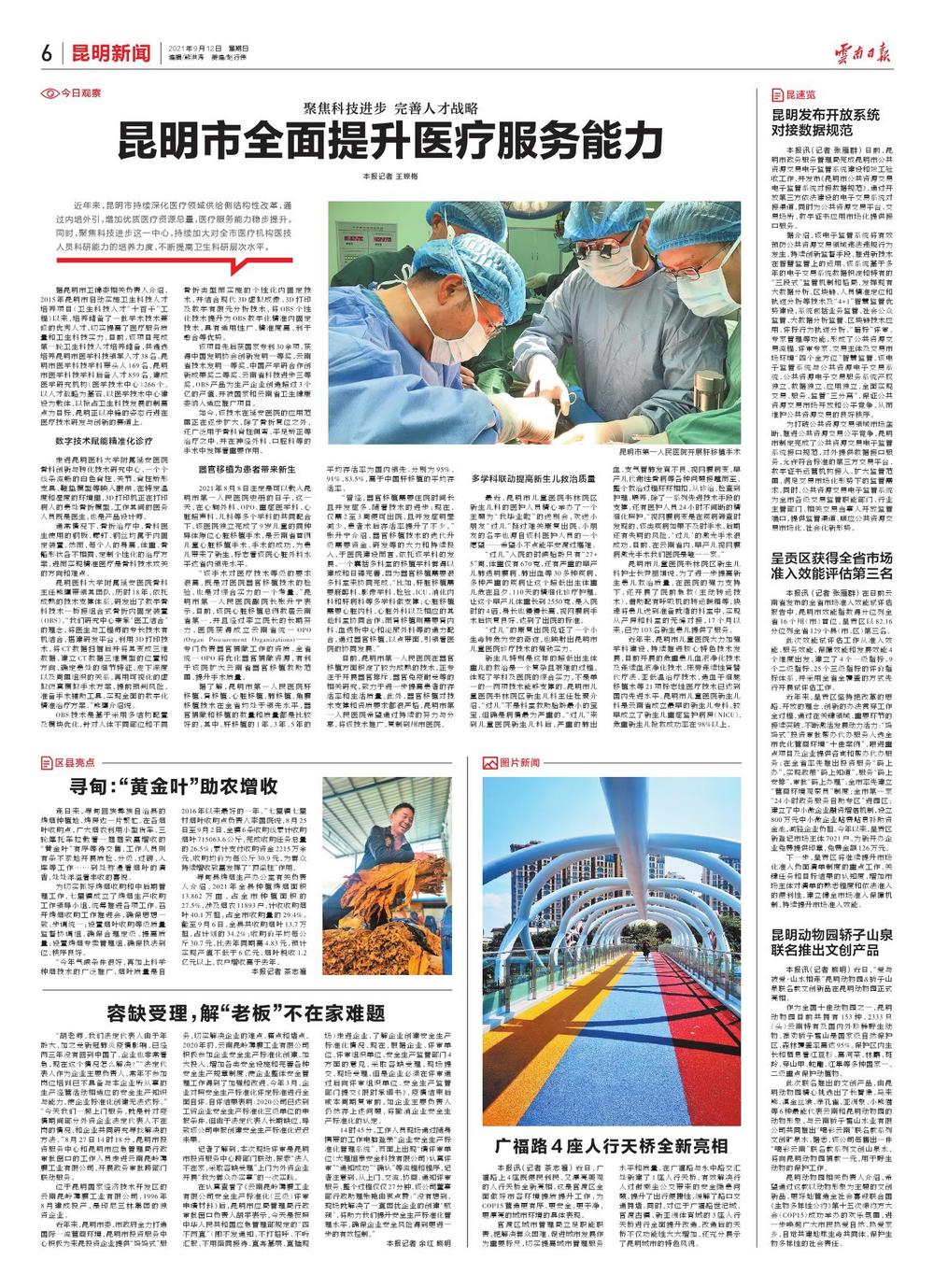 昆明今天的新闻头条,城市动态与生活新知,昆明今日热点,城市动态与生活新知