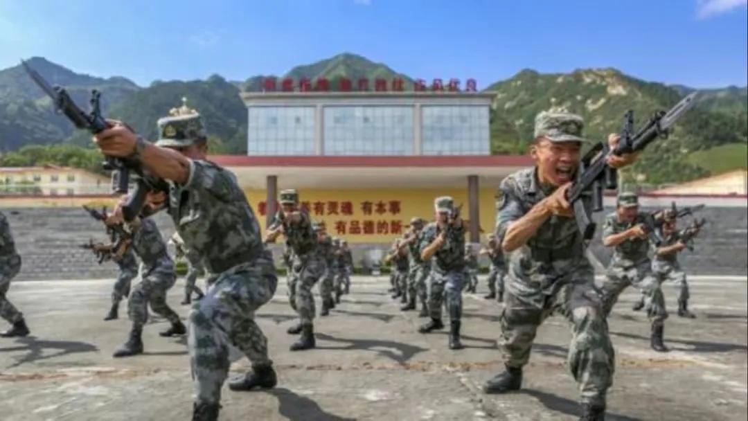 武警与陆军服饰，一种独特的军事文化展示，武警与陆军服饰，独特军事文化的风采展示