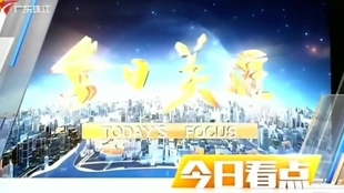 珠江台今日关注，聚焦珠江三角洲的发展动态与热点话题（2021年年度报告），珠江三角洲发展动态与热点话题聚焦（2021年年度报告）