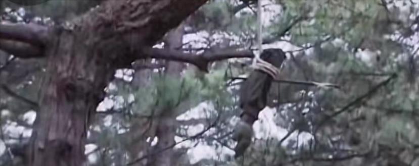 裤裆藏雷女演员,戏剧背后的故事与争议,裤裆藏雷女演员,戏剧背后的故事与争议揭秘