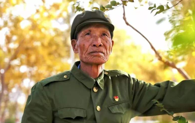 王成帮个人简历与成就概述,王成帮,生平概览与成就概览