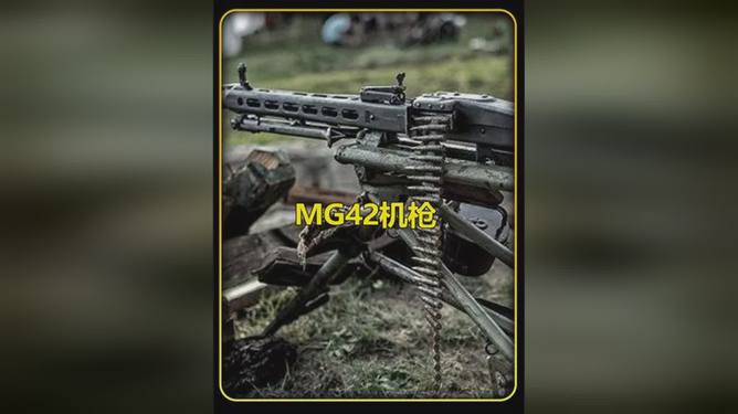 两枪胸口一枪头,悲剧背后的真相探寻,悲剧背后的真相探寻,胸口与头部的致命两枪