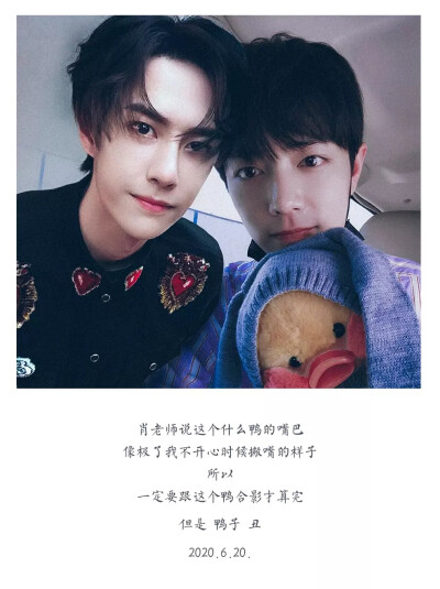 王中王一肖资料，揭秘一位杰出人物的生平与成就，王中王一肖，揭秘生平与辉煌成就