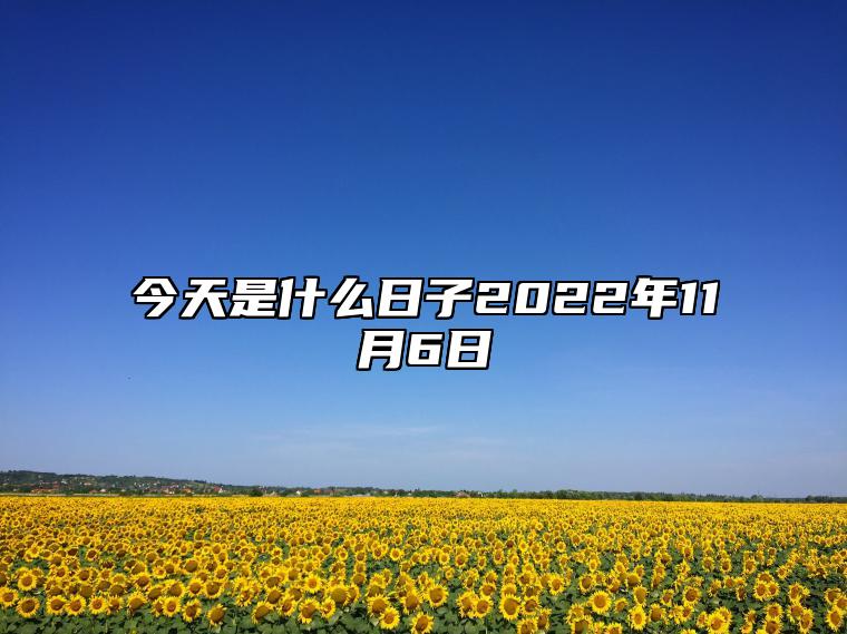 今天是什么日子?探寻时光之独特印记,探寻时光印记,今日何日?