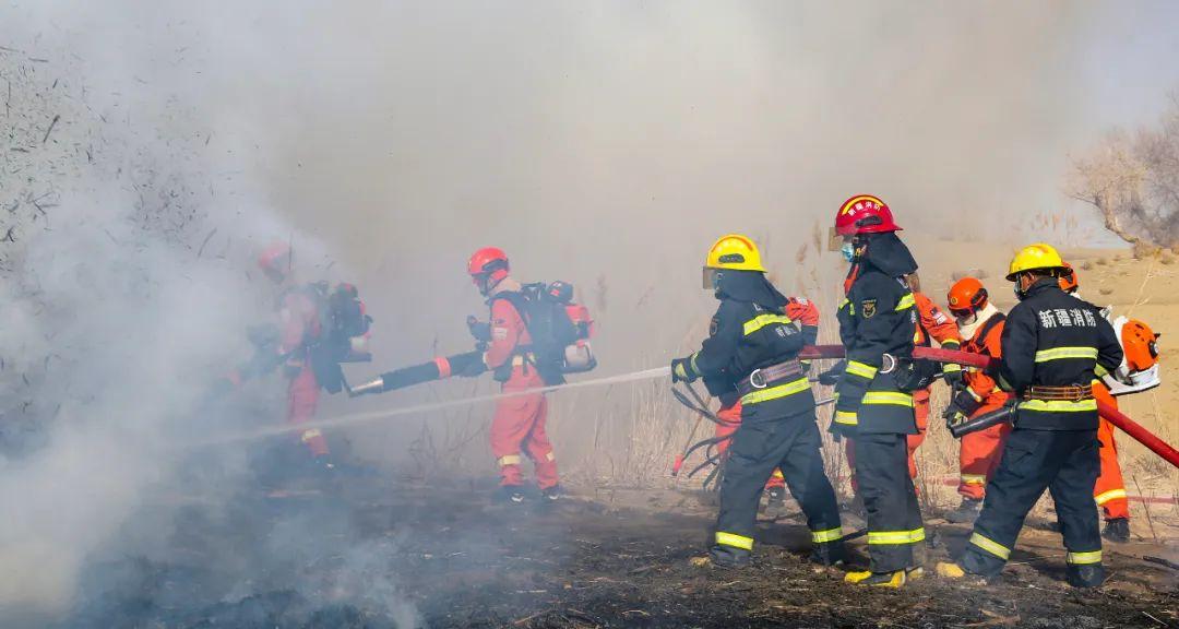 联合作战力量的特征研究,联合作战力量特征深度研究