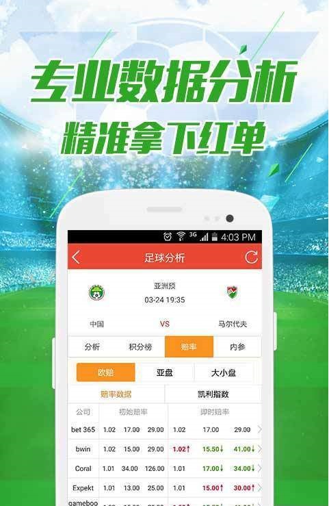 澳门正版资料大全与贫困的挑战，担石之外的思考，澳门正版资料与贫困挑战，超越物质层面的思考