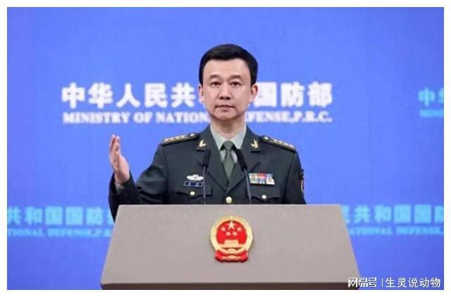 人民武装部图案，历史、象征与意义，人民武装部的图案，历史、象征与深远意义