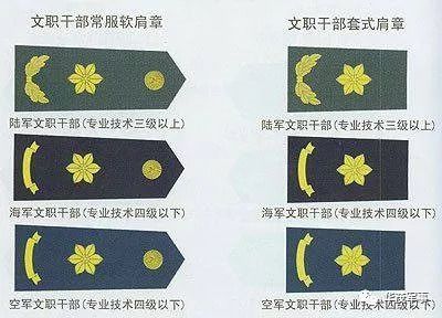 文职干部军衔,内涵、作用与发展,文职干部军衔,内涵、作用及发展历程