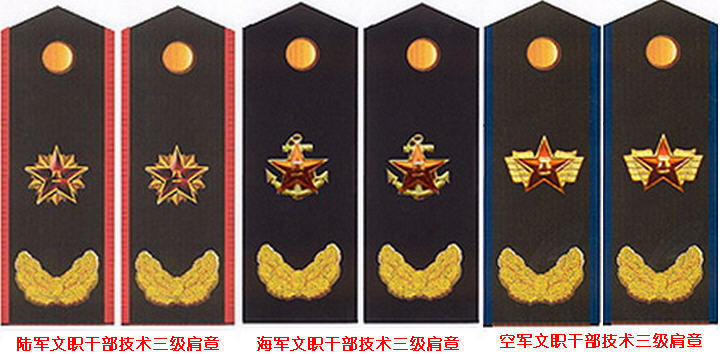 文职干部军衔,内涵、作用与发展,文职干部军衔,内涵、作用及发展历程