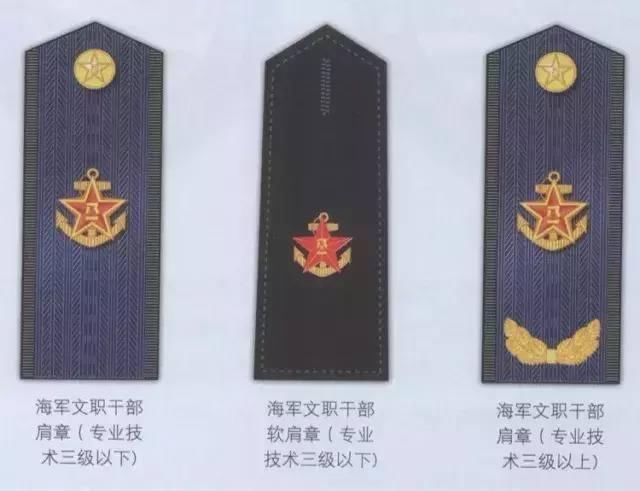 文职干部军衔,内涵、作用与发展,文职干部军衔,内涵、作用及发展历程