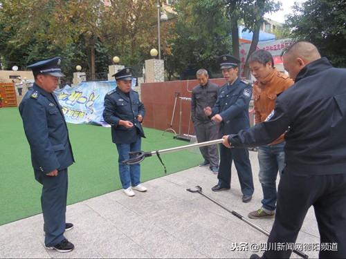 女生读警校哪个专业好,深度解析与推荐,女生警校专业深度解析与推荐,哪个专业更适合?