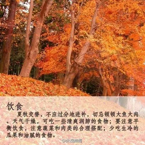 今日几时入秋，一场关于季节更迭的探寻，今日入秋时刻揭秘，季节更迭的探寻之旅