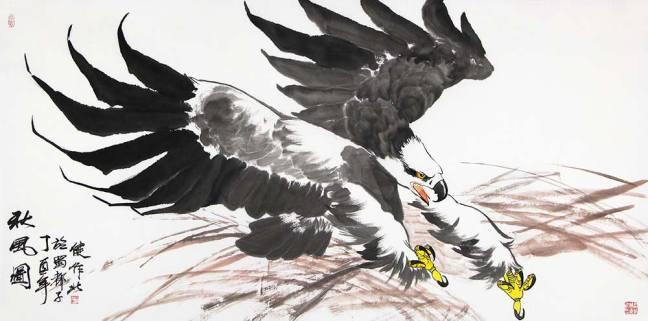 探索真实雄鹰图片的奥秘与魅力,探寻雄鹰真实图片的奥秘与风采