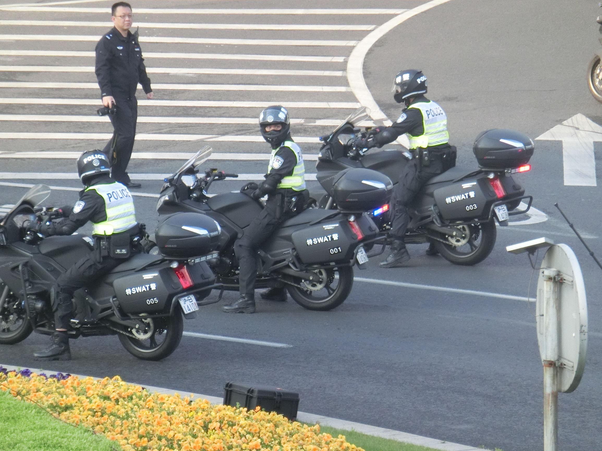 武警国宾护卫队人员配置表详解，武警国宾护卫队人员配置详解