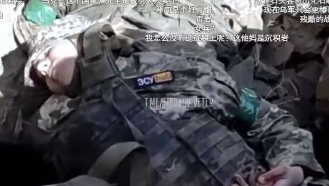 女兵死后不被放过,社会与文化背景下的深度探讨,女兵之死背后的社会与文化探讨,不被放过的悲剧深度解析