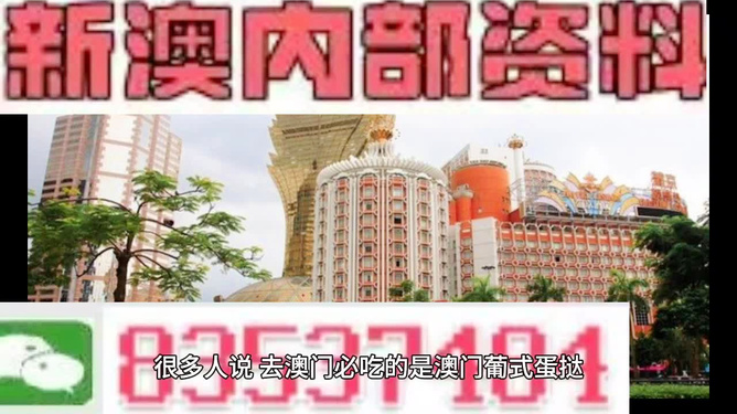 澳门精准的资料大全，澳门精准资料大全概览