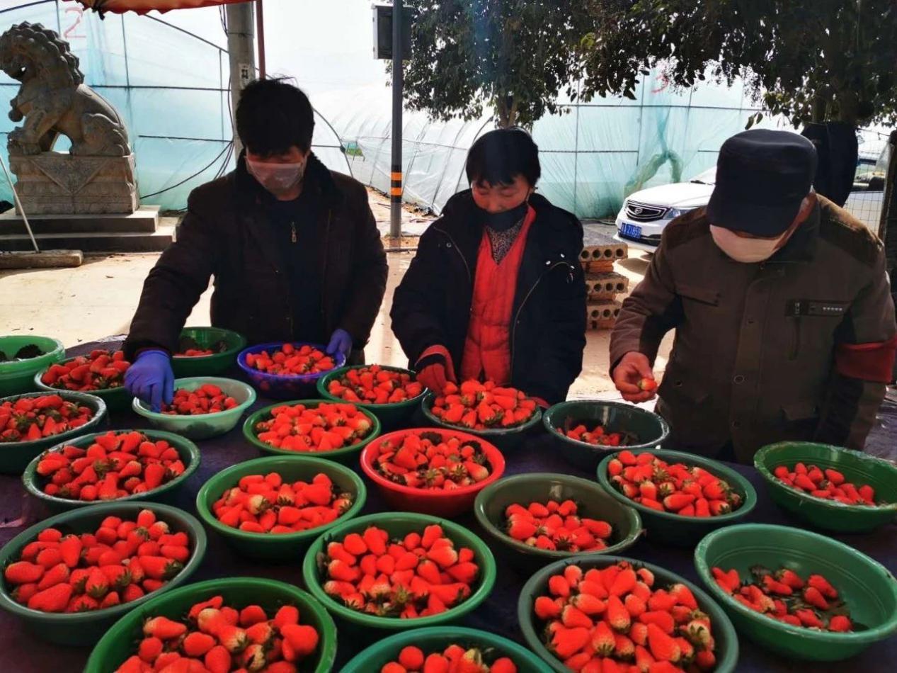 西安疫情最新动态,今日新增15例病例分析,西安疫情最新动态,今日新增15例病例详细分析