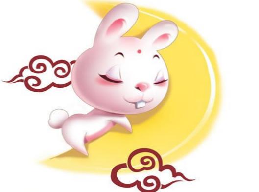 一箭20星猜一生肖,探寻神秘符号背后的奥秘,一箭携星探生肖,揭秘神秘符号背后的奥秘