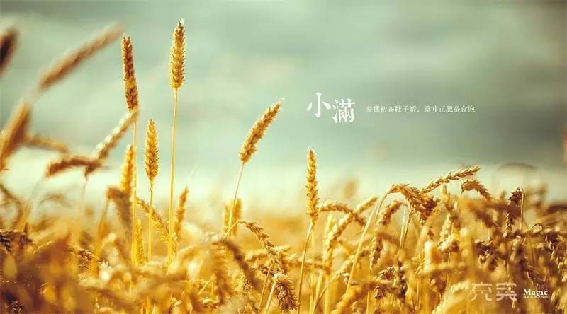 今天，我们身处哪个季节？，今日所属季节探秘