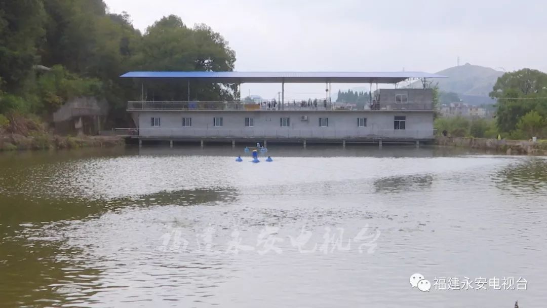 福建永安大湖二炮,无声的坚守与力量的象征,福建永安大湖二炮,无声的坚守,力量的象征