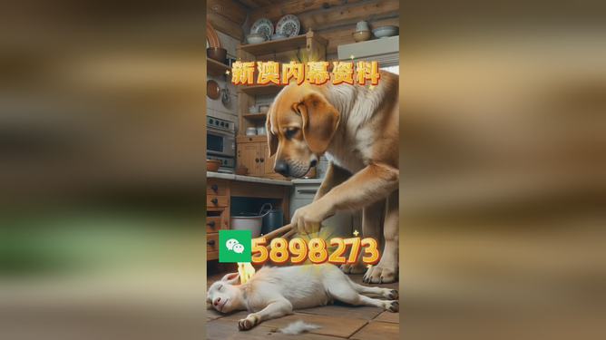2025澳门精准四不像