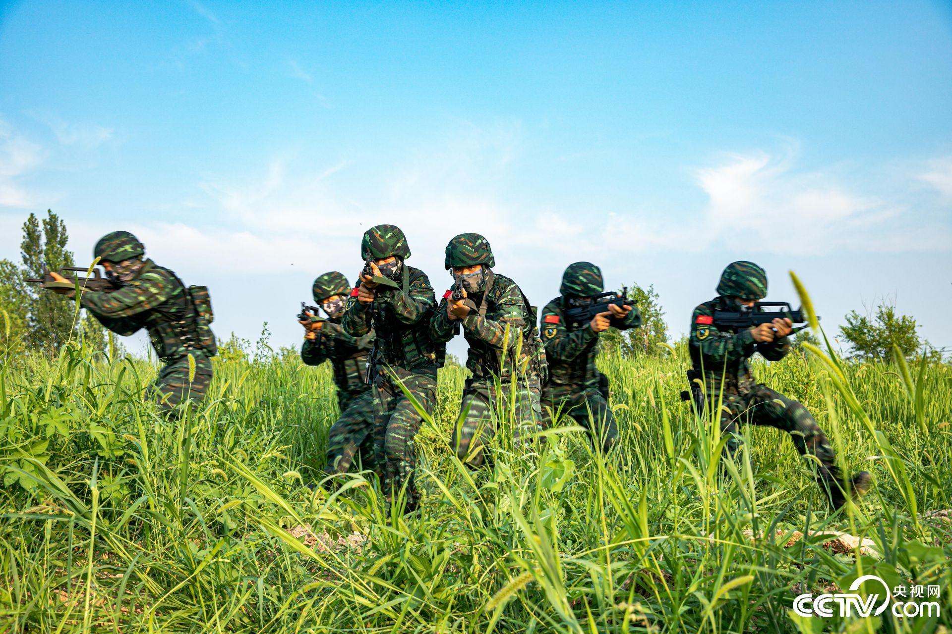 武警特战留队几率高的分析与探讨，武警特战留队几率高的深度分析与探讨