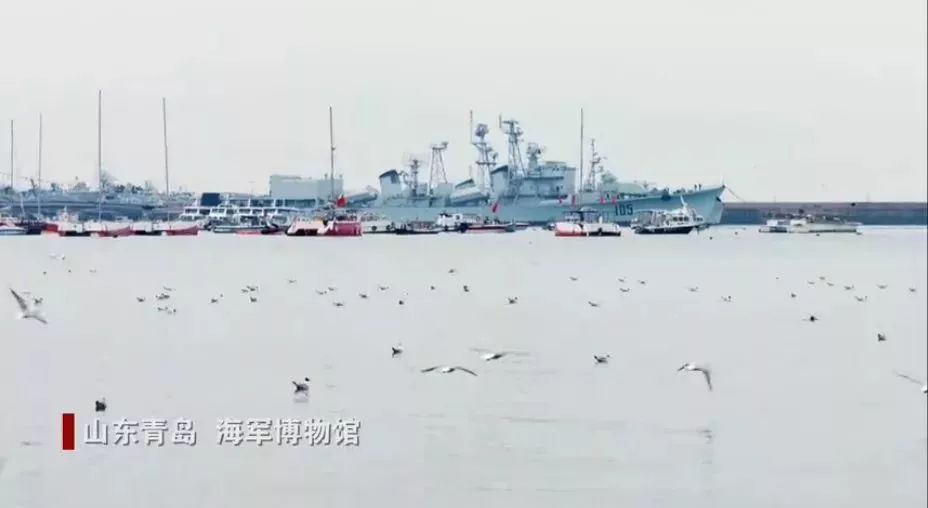 青岛海军节,庆祝海洋强国建设的辉煌成就,青岛海军节庆典,海洋强国建设的辉煌成就展