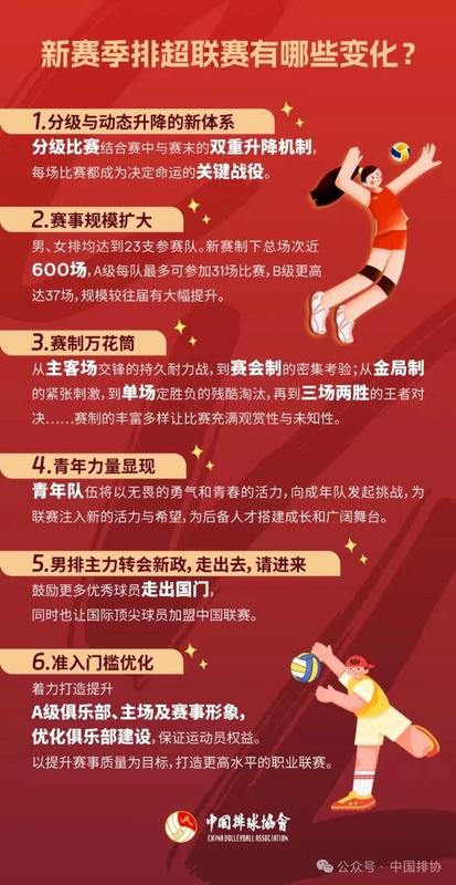 王中王精准四肖三期必开一期之奥秘探索,王中王精准四肖三期必开一期,奥秘揭秘与探索