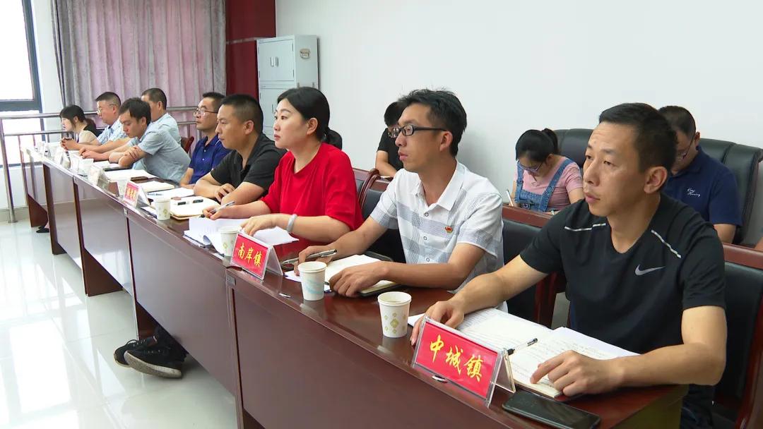 现任央视四套女主持人——璀璨星辰下的新闻领航者,央视璀璨星辰,新闻领航者——四套女主持人风采展