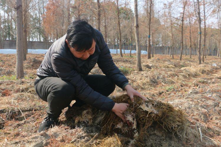 集团菌，探索微生物王国的奥秘，集团菌，揭秘微生物王国的奥秘探索之旅