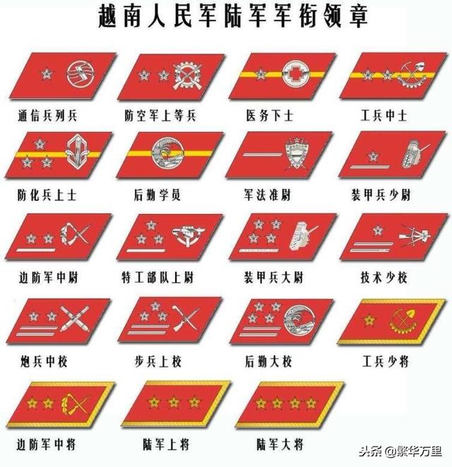 预备役部队的军衔与番号,探究其意义与重要性,预备役部队军衔与番号,意义与重要性探究