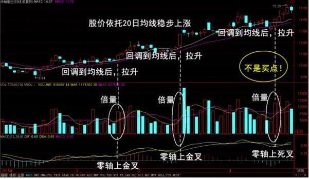 最新消息流出驱动股市,天坛生物、铁龙物流、杭钢股份与建发股份展望短期股价上涨趋势,股市最新消息驱动,天坛生物等四股短期股价上涨趋势展望