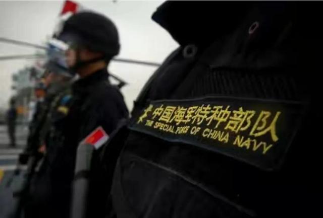 蛟龙突击队肩章，荣耀的象征与使命的承载，蛟龙突击队肩章，荣耀与使命的象征